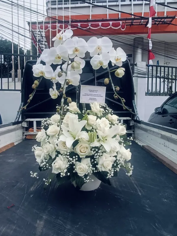 Rangkaian Bunga Anggrek Premium Specialist