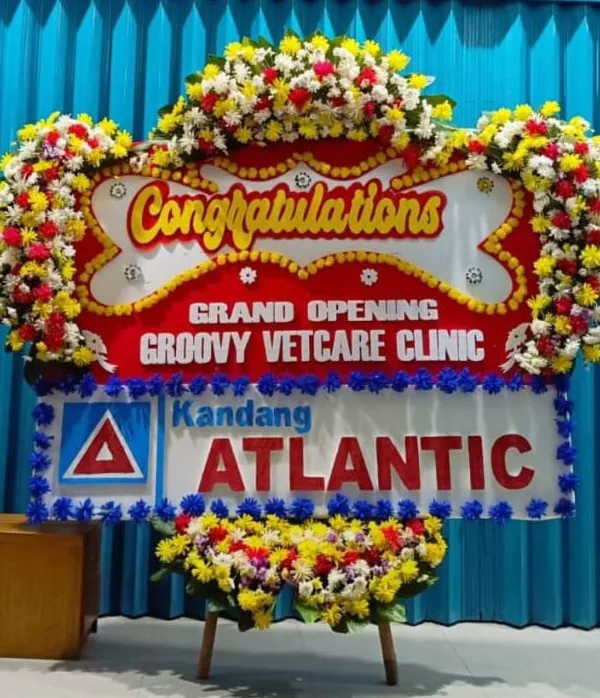 Bunga Papan Congratulations Premium